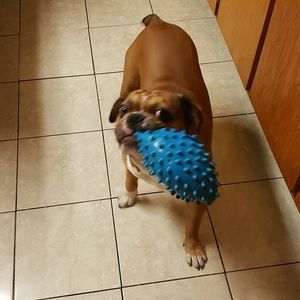 Meet your Posher, Mary joe